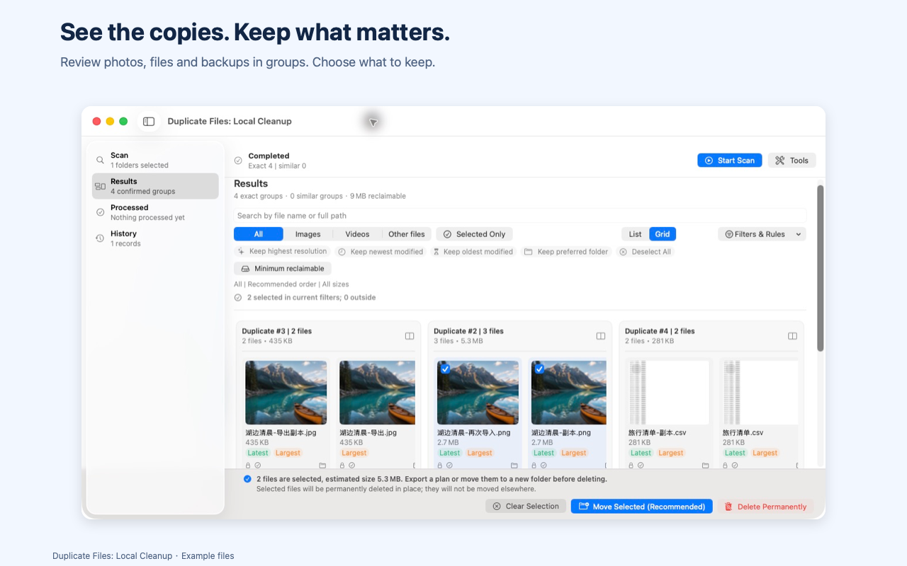Duplicate file groups and selected copies